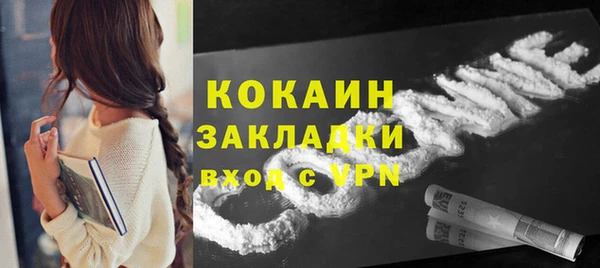 шишки Лагань