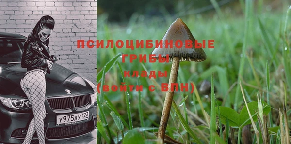 гидра Ладушкин