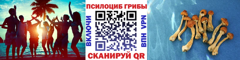 Купить закладки  Батайск  Псилоцибиновые грибы MAGIC MUSHROOMS 